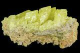 Sulfur Crystal Cluster on Matrix - Nevada #69154-1